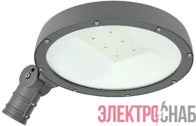 Светильник светодиодный ДКУ Парк 2001-100Д 5000К IP65 IEK LDKU0-2001-100-5000-K02