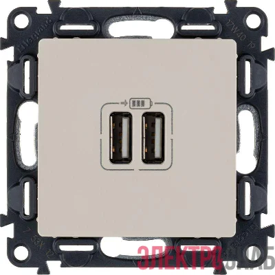 Розетка USB 2-м Valena Life 240В/5В 1500мА с лицев. панелью механизм сл. кость Leg 753512