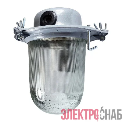 Светильник НСП 09-200-001 "Транзит" IP51 корпус серый Элетех 1005550282