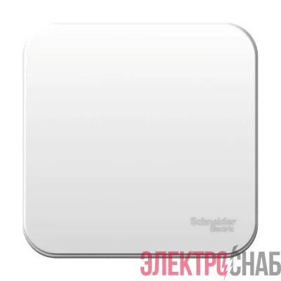 Выключатель 1-кл. ОП Blanca 10А IP20 (сх. 1) 250В с металлич. пластиной бел. SE BLNVA101021