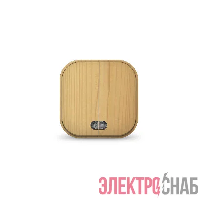 Выключатель 2-кл. 1п ОП 10А IP20 с подсветкой сосна IONICH 1437