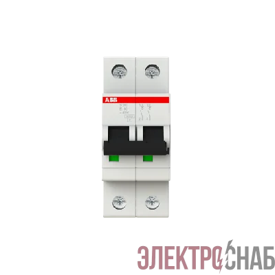 S202 B10  6кА  Автоматический выключатель 2-полюсной 2CDS252001R0105