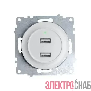 Розетка USB 2-м СП Florence 16А IP20 с подсветкой механизм бел. (1E10351300) OneKeyElectro 2260089