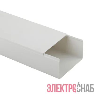 Кабель-канал 100х60 L2000 бел. Эра Б0031143
