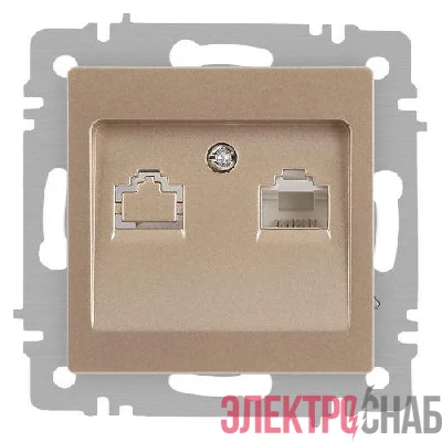 Розетка компьютерная 1-м СП Accent 6-303-04 RJ45 IP20 шампань Intro Б0063632