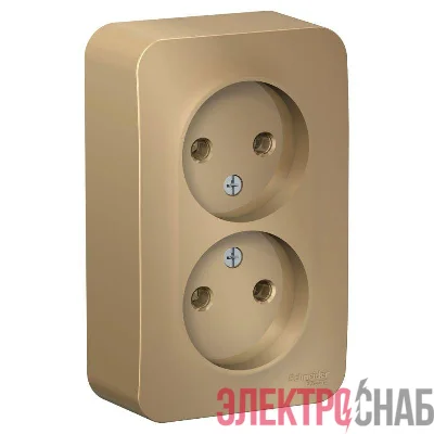 Розетка 2-м ОП Blanca 16А IP20 250В без заземл. без защ. шторок титан SE BLNRA000204