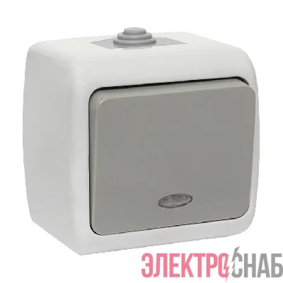 Выключатель 1-кл. ОП Мурманск 10А IP54 с индикатором сер. EKF EFV10-121-30-54