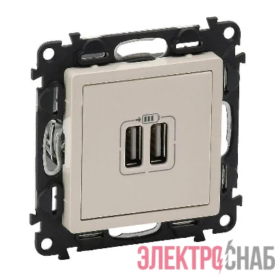 Механизм розетки USB 2-м Valena Life 240В/5В 1500мА с лицевой панелью сл. кость Leg 753512
