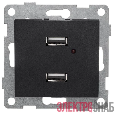 Розетка USB 2-м СП Bravo механизм графит GUSI С10USB2-010