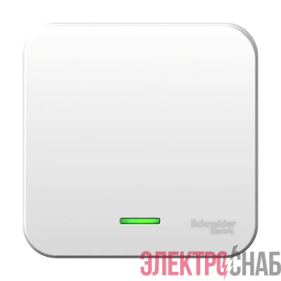 Выключатель 1-кл. ОП Blanca 6А IP20 (сх. 1) 250В с подсветкой с металлич. пластиной бел. SE BLNVA061121