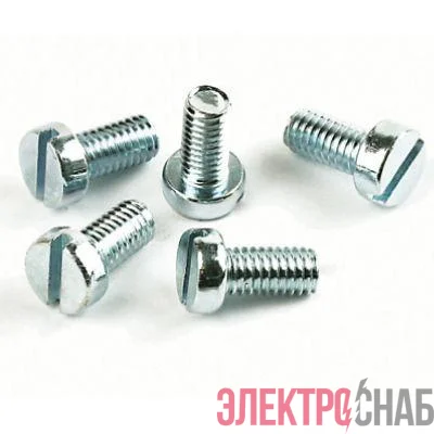 Винт для монтажа внутри корпуса М6 (уп.10шт) DKC 501010