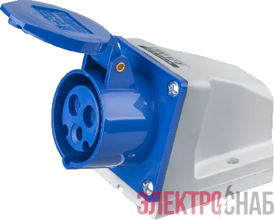 216 RS4  Розетка для монтажа на пов-ть 2Р+E 16A 110V~ IP44 (D19 609 01) 2CMA193097R1000