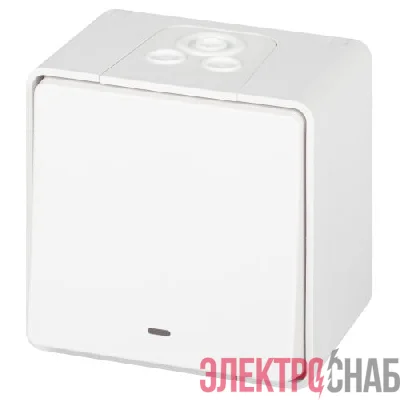 Переключатель Эксперт 11-1507-01 с подсветкой IP55 10АХ-250В ОУ бел. Эра Б0063255