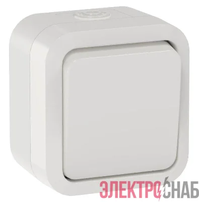 Переключатель 1-кл. ОП TORS 10А IP55 TS301 бел. IEK TS-V10-0-10-55-K01