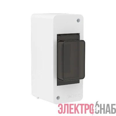 Щиток настенный Фрейм (FRAME) ЩРн-п-2 2мод. IP41 с тонированной дверцей бел. DKC F02W0WD