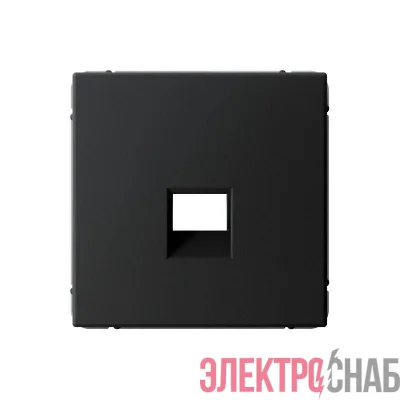Накладка информационная ArtGallery типа Keystone карбон SE GAL001084