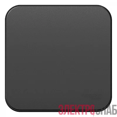 Выключатель 1-кл. ОП Blanca 10А IP20 (сх. 1) с самовозвратом с изолир. пластиной антрацит SE BLNCA101016