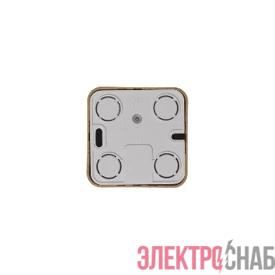 Розетка телевизионная TV ОП Blanca коннектор с изолир. пластиной ясень SE BLNTA000015