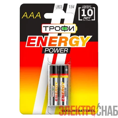 Элемент питания алкалиновый AAA/LR03 LR03-2BL (блист.2шт) Трофи C0034929