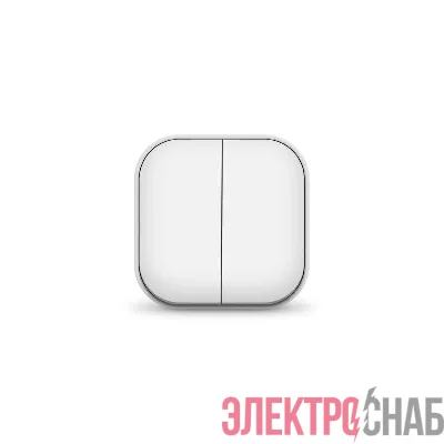 Выключатель 2-кл. ОП 10А IP20 бел. IONICH 1413