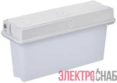 Светильник светодиодный ССА1010 1ч IP65 аварийный универс. IEK LSSA0-1010-1-65-K01
