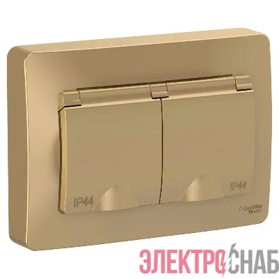 Розетка 2-м СП Blanca 16А IP44 250В с заземл. защ. шторки с крышкой титан SE BLNRS441124
