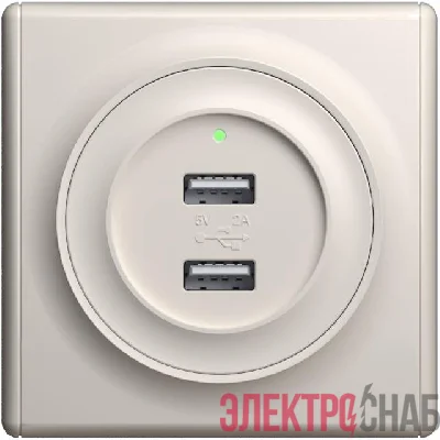 Розетка USB 2-м СП Florence 16А IP20 с подсветкой механизм беж. 1E10351301 OneKeyElectro 2260090