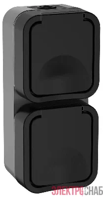 Розетка 2-м ОП TORS 16А IP55 TS132 вертик. с заземл. с крышкой графит IEK TS-R26-16-55-V-K53