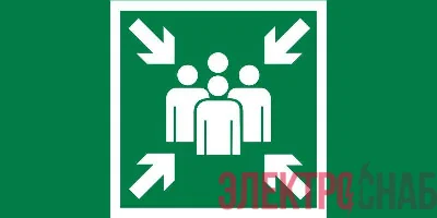 Знак &&&amp;amp;amp;amp;amp;amp;amp;amp;amp;amp;amp;amp;amp;amp;amp;amp;quot;Место сбора&&&amp;amp;amp;amp;amp;amp;amp;amp;amp;amp;amp;amp;amp;amp;amp;amp;quot; 180х90мм для аварийно-эвакуационного светильника Compact VARTON V5-EM04-60.004.020