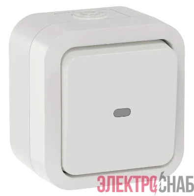 Переключатель 1-кл. ОП TORS 10А IP55 TS302 с индикацией бел. IEK TS-V10-1-10-55-K01