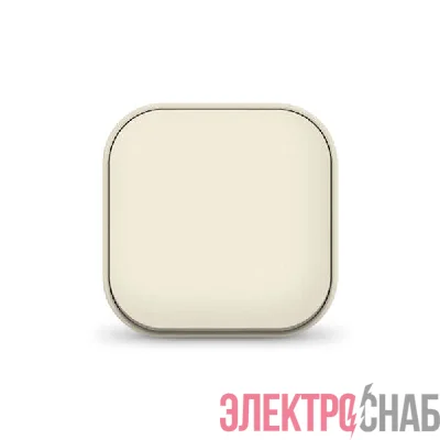 Выключатель 1-кл. 1п ОП 10А IP20 сл. кость IONICH 1423