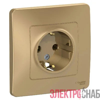 Розетка 1-м СП Blanca 16А IP20 250В с заземл. без защ. шторок титан SE BLNRS001014