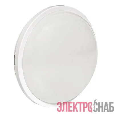 Светильник светодиодный ЖКХ ДПО-2009 12Вт 6500К IP65 круг LUMA EKF BKL-2009-R-12-6500