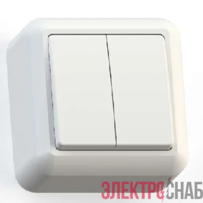 Выключатель 2-кл. ОП Оптима 10А IP20 А510-380 с монтаж. пластиной сл. кость Кунцево 8033