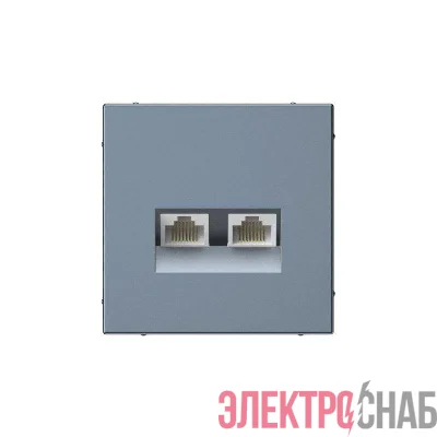 Розетка компьютерная 2-м ArtGallery RJ45 + RJ45 кат.5E механизм грифель SE GAL000785