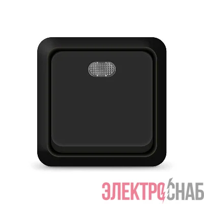 Выключатель 1-кл. ОП Олимп 10А IP20 с подсветкой черн. Universal 2212