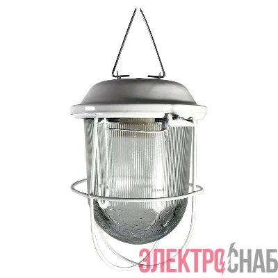 Светильник НСП 02-100-002 "Желудь А" IP52 с решеткой Элетех 1005550306