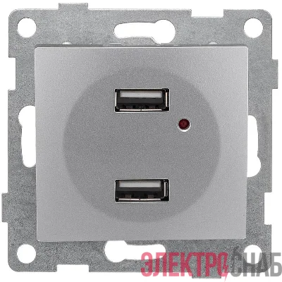 Розетка USB 2-м СП Bravo механизм серебр. GUSI С10USB2-004