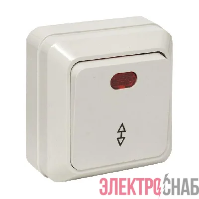 Переключатель проходной 1-кл. ОП Рим 10А IP20 с индикатором бел. EKF ENV10-125-10