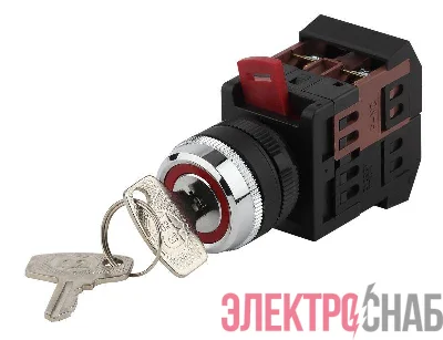 Переключатель AKS-22 2 полож. черн. с ключ. I-O 1з+1р BSW10-AKS-2-K02E ЭРА Б0045677