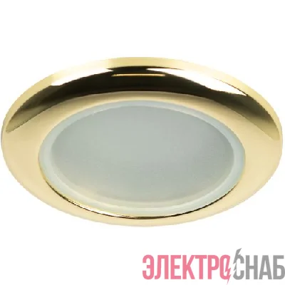 Светильник точечный WR1 GD 50Вт IP44 MR16 12В влагозащ. зол. ЭРА C0043846