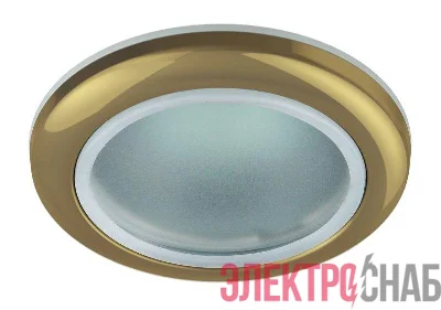 Светильник WR1 GD MR16 12В 50Вт IP44 зол. ЭРА C0043846