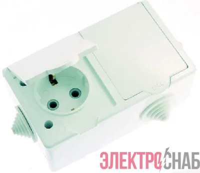 Розетка 2-м ОП РА16-759 16А IP44 с заземл. ПГ бел. Кунцево 5907