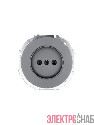 Розетка 1-м СП OSEN без заземл. ПБТ механизм сер. матов. LEZARD 743-7488-121B