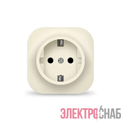 Розетка 1-м ОП 16А IP20 с заземл. сл. кость IONICH 1433