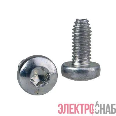 Винт самонарезающий T30 (M6х12) SchE NSYST30M6S