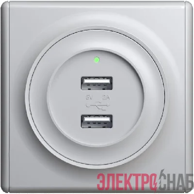 Розетка USB 2-м СП Florence 16А IP20 с подсветкой механизм сер. 1E10351302 OneKeyElectro 2260091