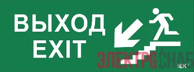 Этикетка самоклеящаяся "Выход/лестница вниз/фигура" ДПА IP20/54 IEK LPC10-1-24-09-VLVNF