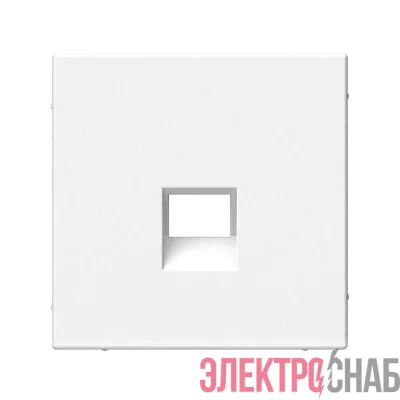 Накладка информационная ArtGallery типа Keystone бел. SE GAL000184
