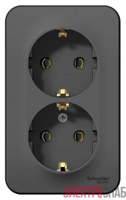 Розетка 2-м ОП BLANCA 16А 250В без шторок с заземл. антрацит SchE BLNRA010206
